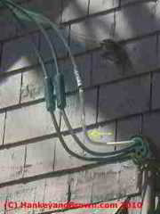 Electric service masthead leaks (C) Roger Hankey